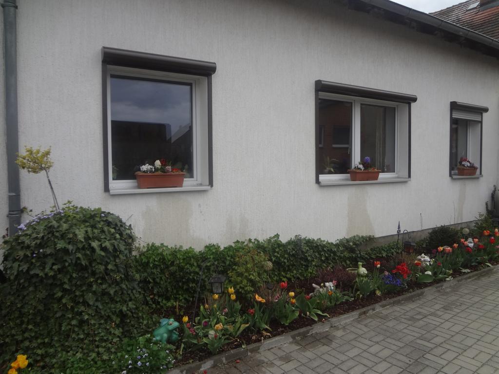 Apartmán Alteschule15 Leibsch Exteriér fotografie